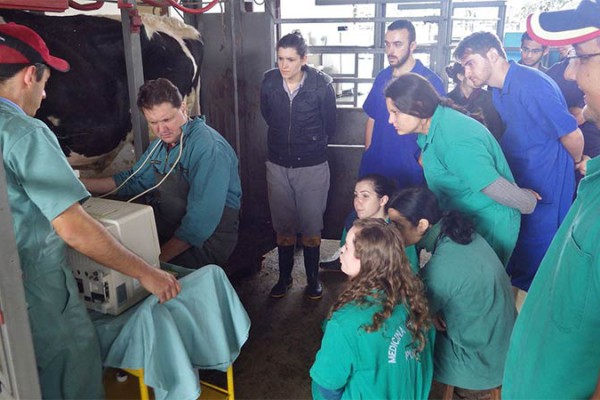 02_Brasilien_Starke2