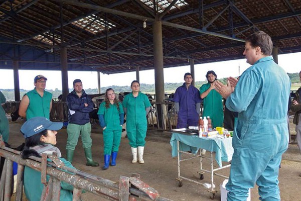 03_Brasilien_Starke3